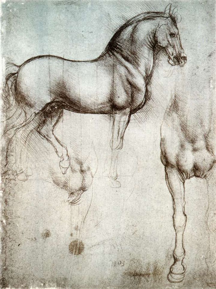 말의 비율 연구와 해부학 스케치 (Study of a Horse / Studies for the Sforza Monument)