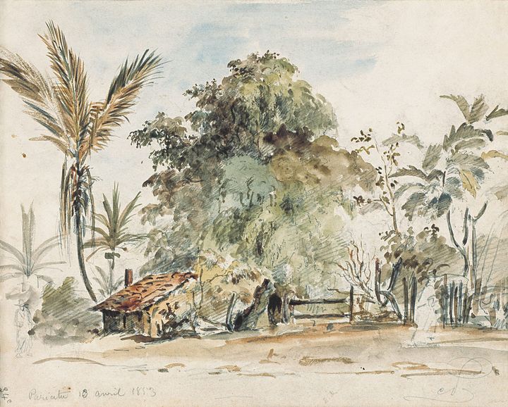 파리아타의 오두막과 열대 식생 (Pariata, 18 avril 1853)