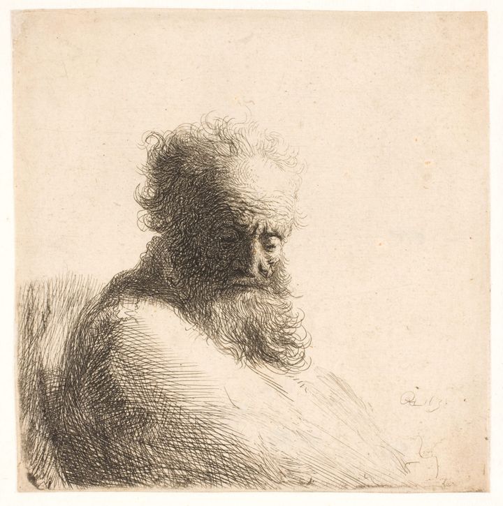 수염이 더부룩한 노인의 두상(Bust of an Old Man with a Bushy Beard)