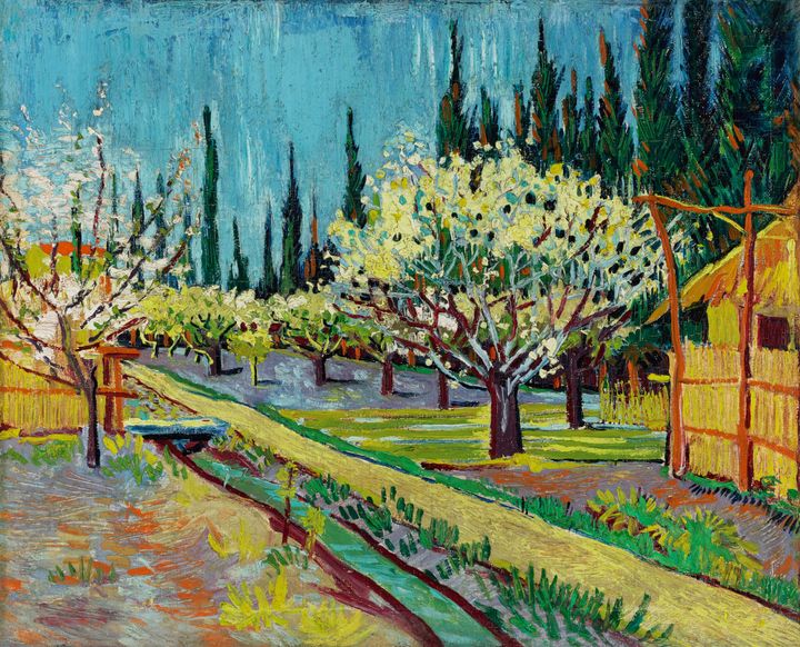 꽃이 핀 과수원과 사이프러스(Orchard in Blossom with Cypresses)