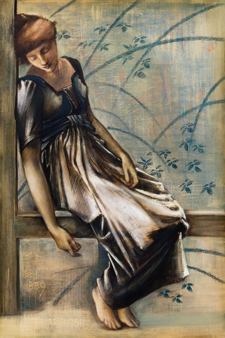 들장미 연작 습작: 잠든 여인 (Study for The Briar Rose: Sleeping Girl)