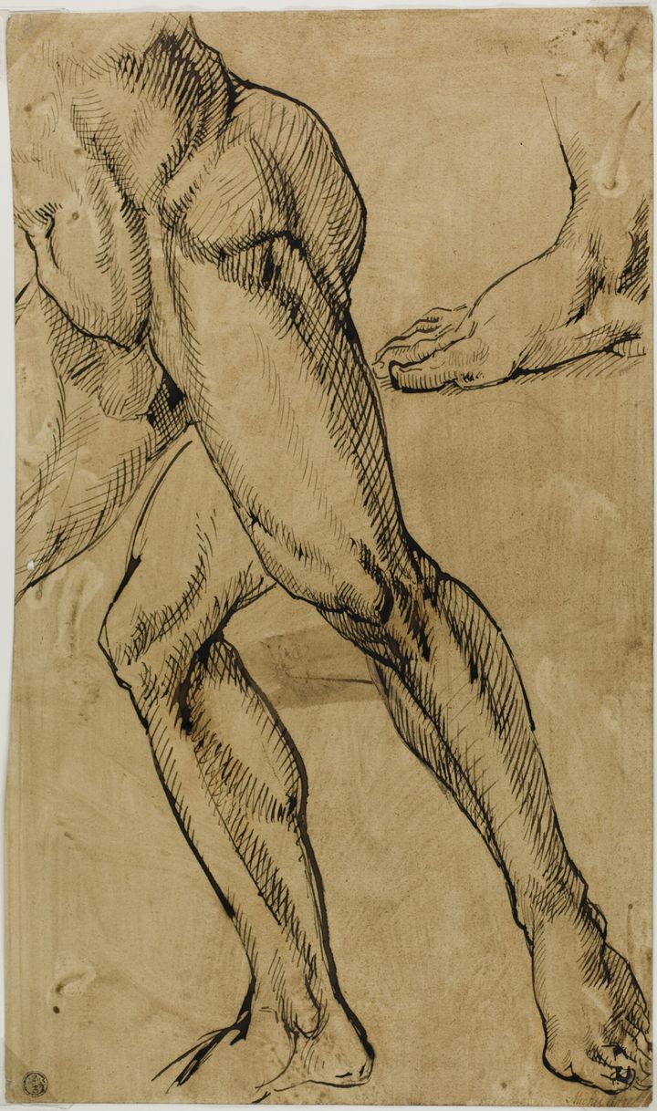 남성 누드의 다리와 발 습작 (Study of the Legs and Foot of a Nude Male)