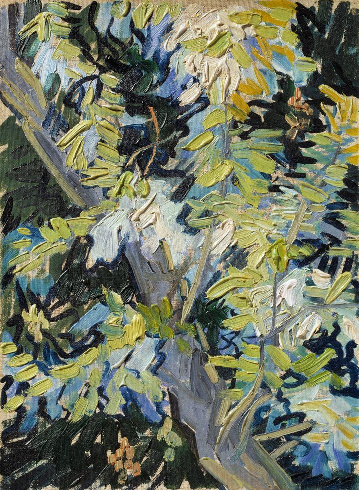 꽃이 핀 아까시나무 가지 - Blossom of a Chestnut Tree (Chestnut Trees in Blossom / Flowering Acacia)