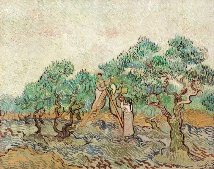 올리브 수확하는 여인들 - Women Picking Olives