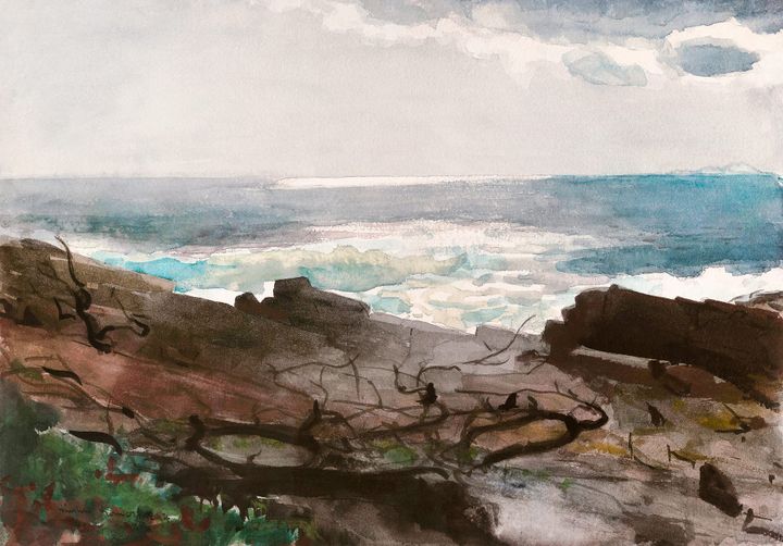 해변의 쓰러진 나무 - A Marine / Dead Tree, Marine