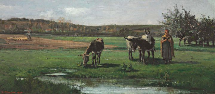 방목지의 당나귀들 - Donkeys at Pasture
