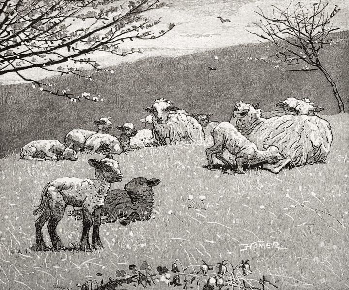 봄의 언덕 위 양 떼 - Sheep on a Hillside, Pastoral