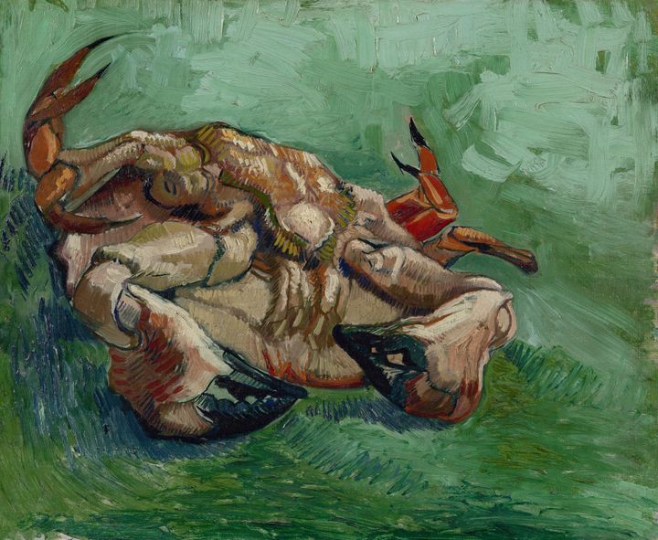 등을 바닥에 댄 게 - Crab on its Back