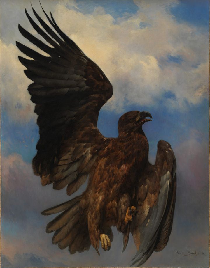 상처 입은 독수리 (The Wounded Eagle)