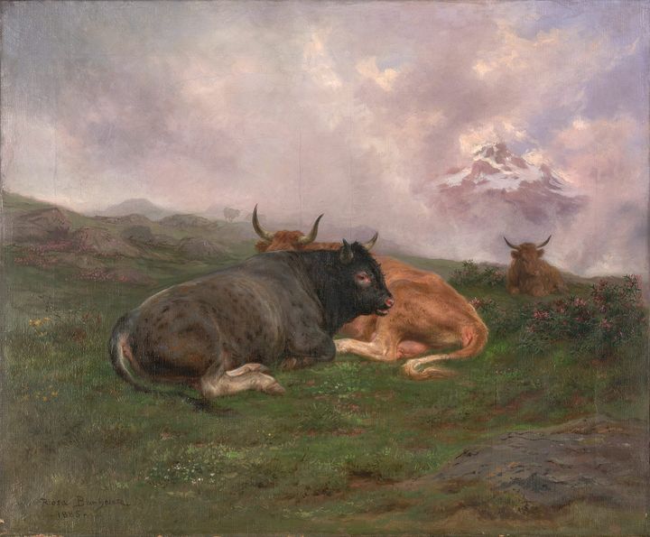 산악지대의 소들 (Cattle in the Highlands)