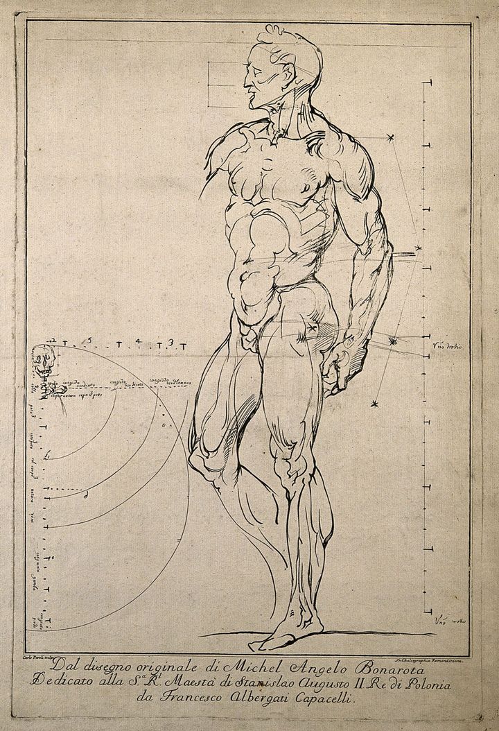 인체 비례 연구 (Study of Human Proportions)