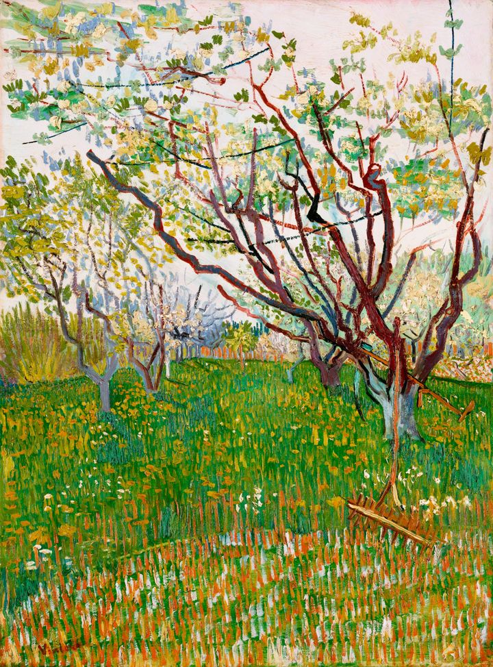 꽃이 핀 과수원 - Orchard in Blossom