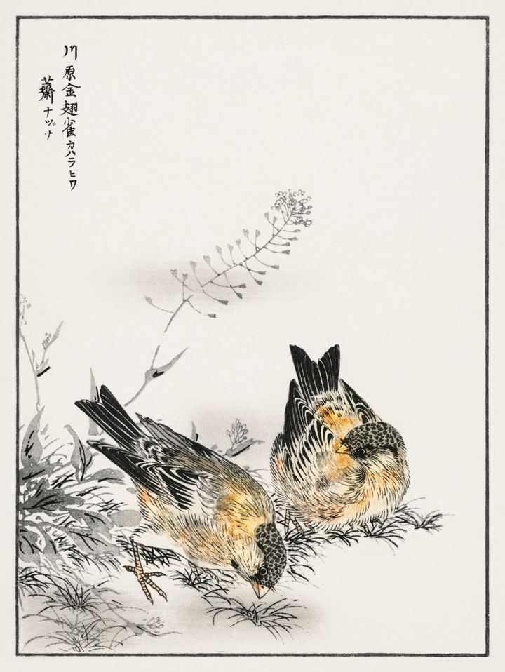 냉이와 방울새