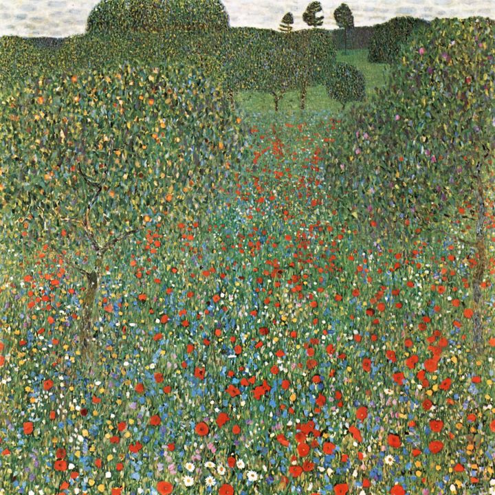 양귀비 들판 (Poppy Field)