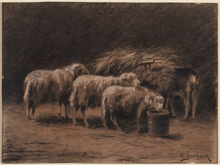 양과 건초통 (Sheep and Hay)