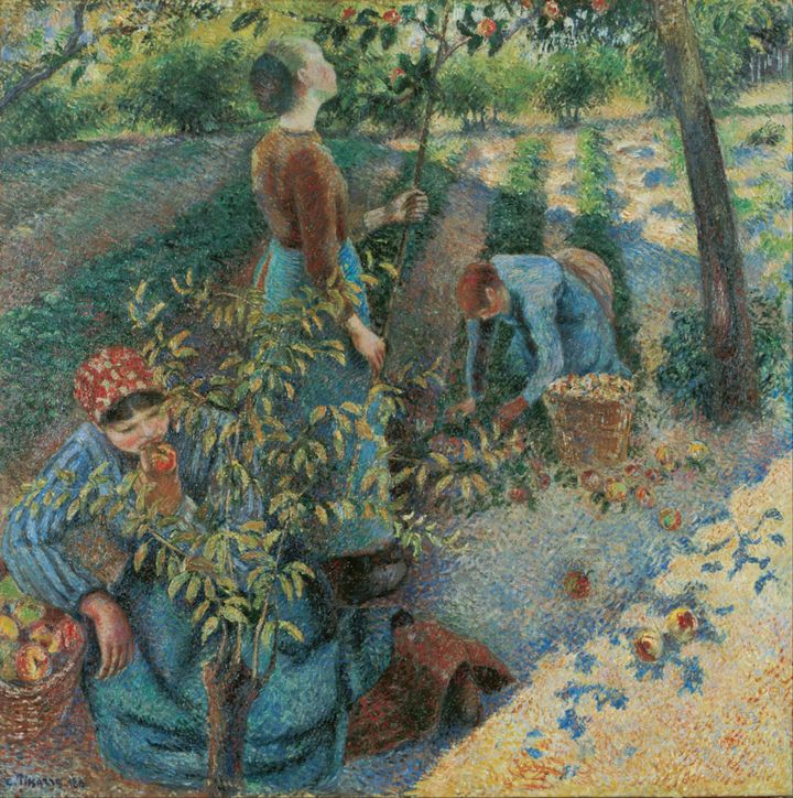 사과 따기 - Apple Picking
