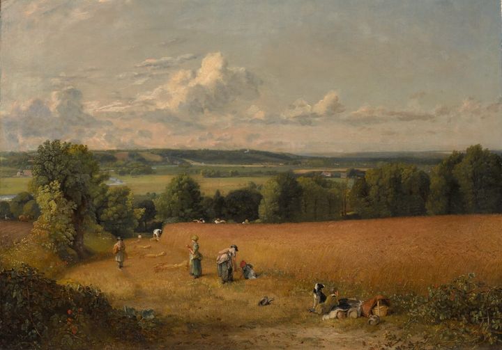 황금빛 밭 (The Wheatfield / Wheatfield, 1816)
