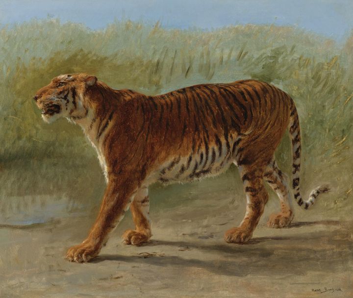 호랑이 (The Tiger)