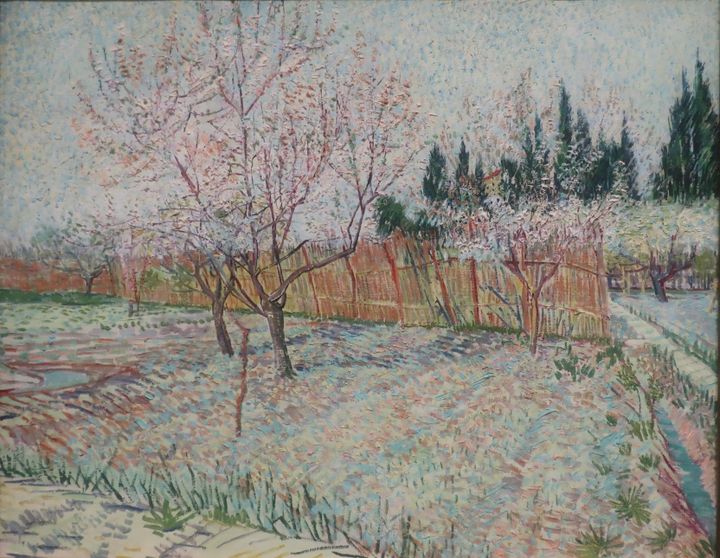 복숭아 과수원 Orchard with Peach Trees