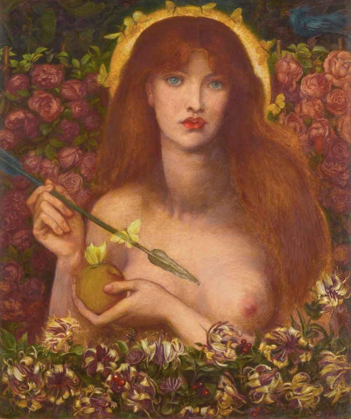 비너스 Venus Verticordia