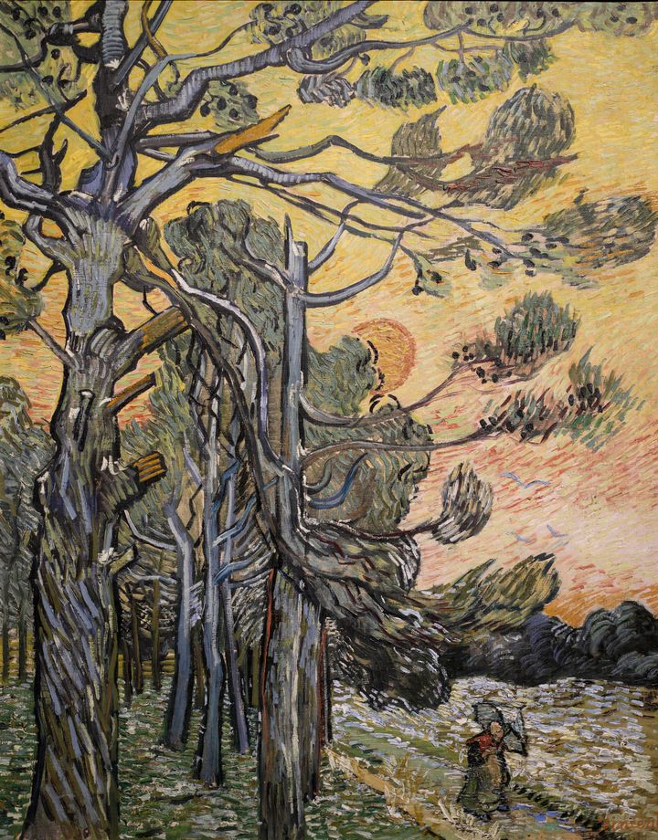 석양 속의 소나무들 Pine Trees at Sunset