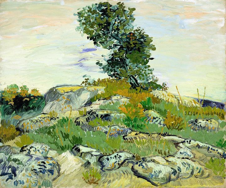 참나무가 있는 바위 언덕 Rocky Hill with Oak Tree