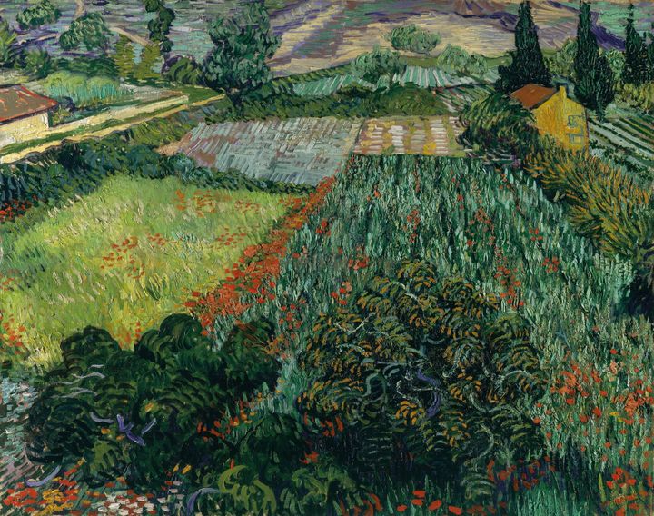 양귀비가 있는 들판 Field with Poppies