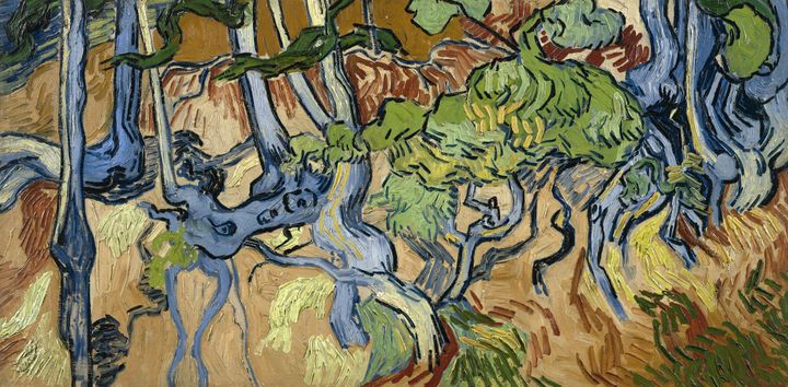 나무 뿌리와 줄기 Tree Roots and Trunks