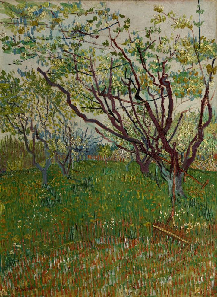 꽃 피는 과수원 Orchard in Blossom