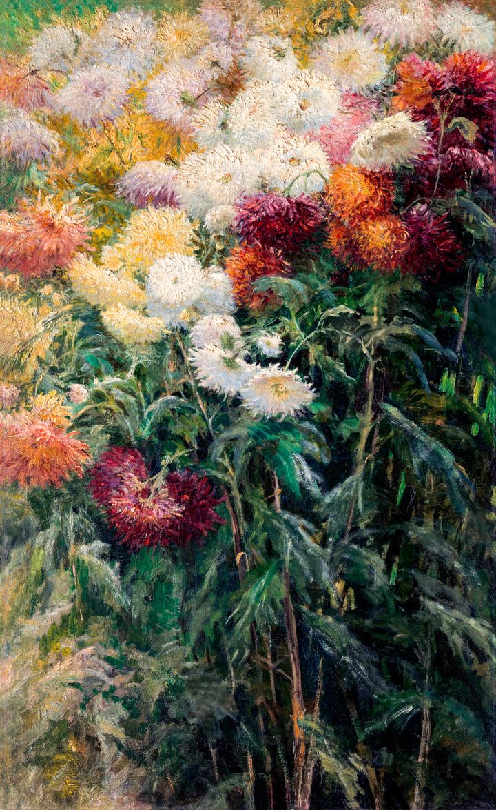 무의식의 화원 국화 Garden of the Unconscious Bed of Chrysanthemums
