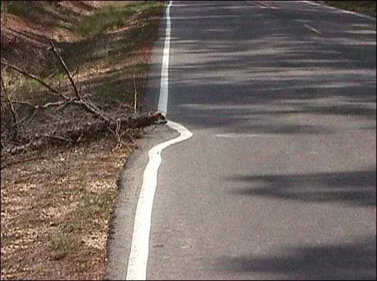 Strategy: not your job?