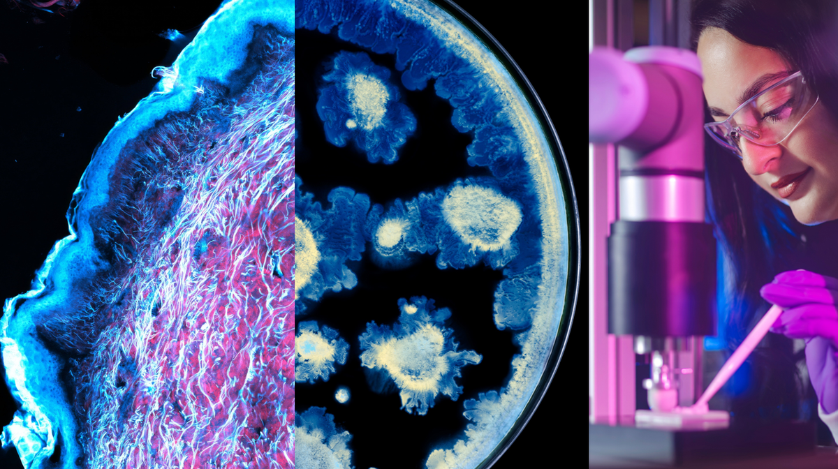 L’Oréal and Institut Pasteur partner to advance skin health science