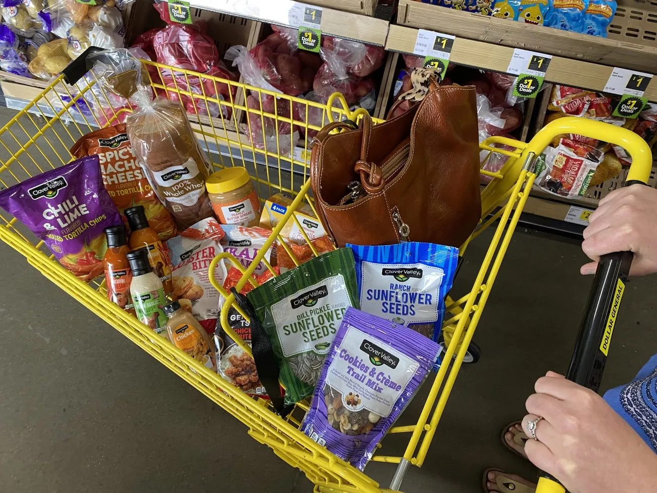 Dollar General puts ‘food first’ through investment in private brands