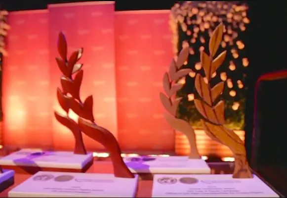 WBA honored with UN Global Leadership Award