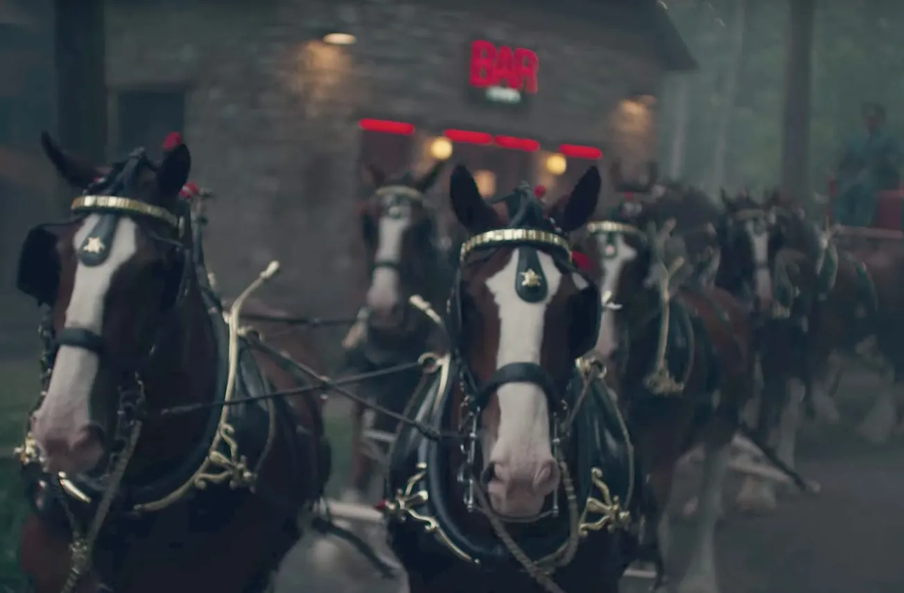 This Copper Lager’s for You