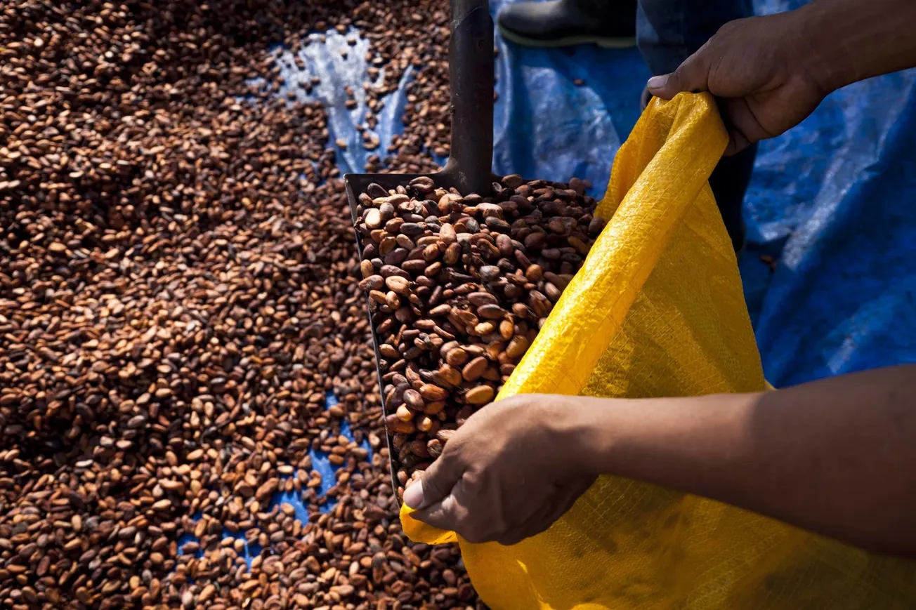 Mars looking at more sustainable business options