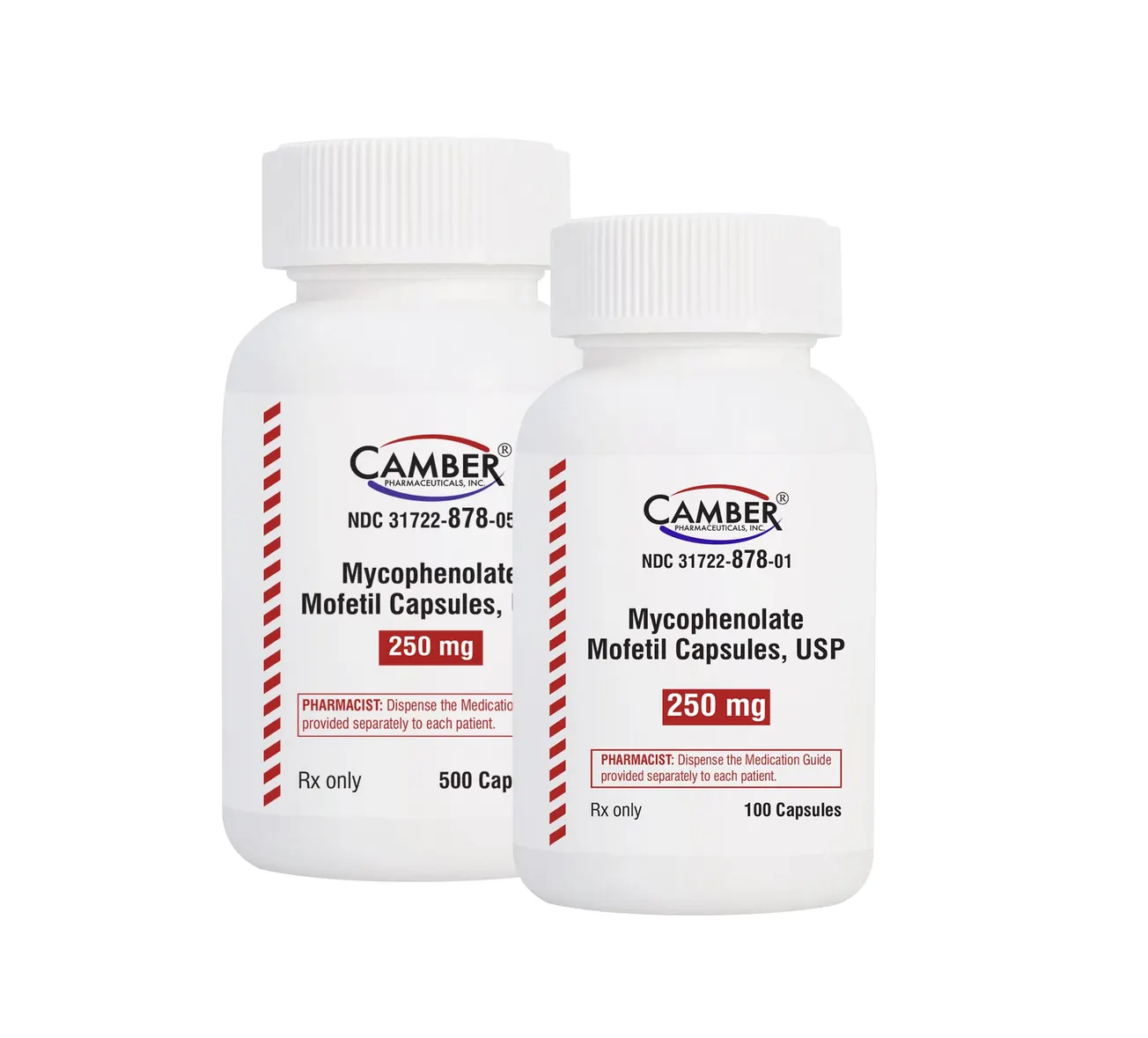 Camber launches mycophenolate mofetil capsules
