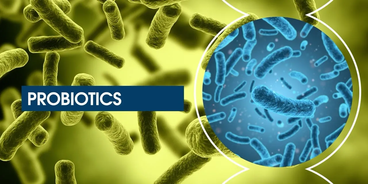 Probiotic ingredients market to hit $14.7 million by 2036