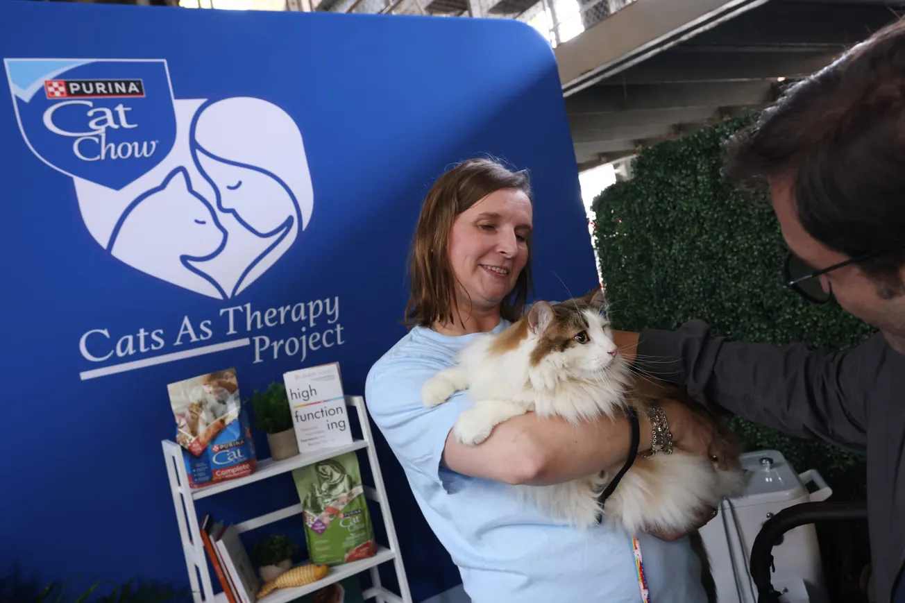 Purina Cat Chow brings the healing power of cats to college campuses across the country