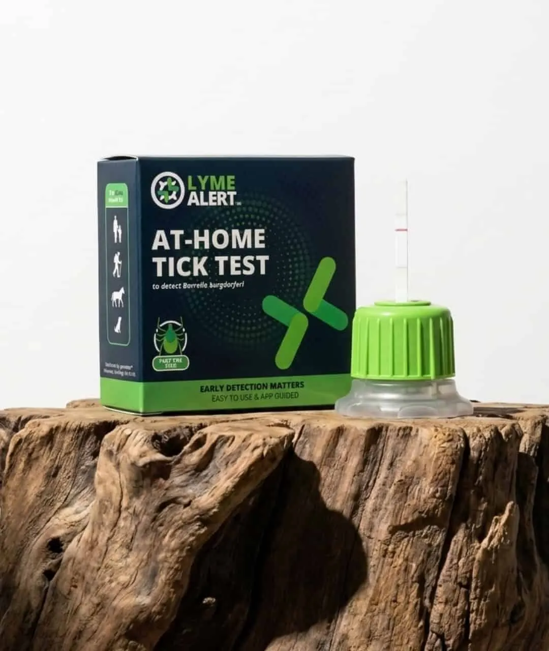 At-home tick testing could speed Lyme Disease detection