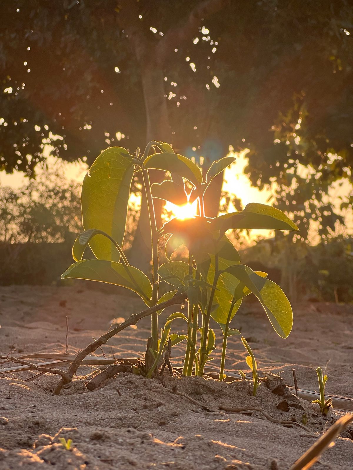 Aufwachen im Weltenwandel