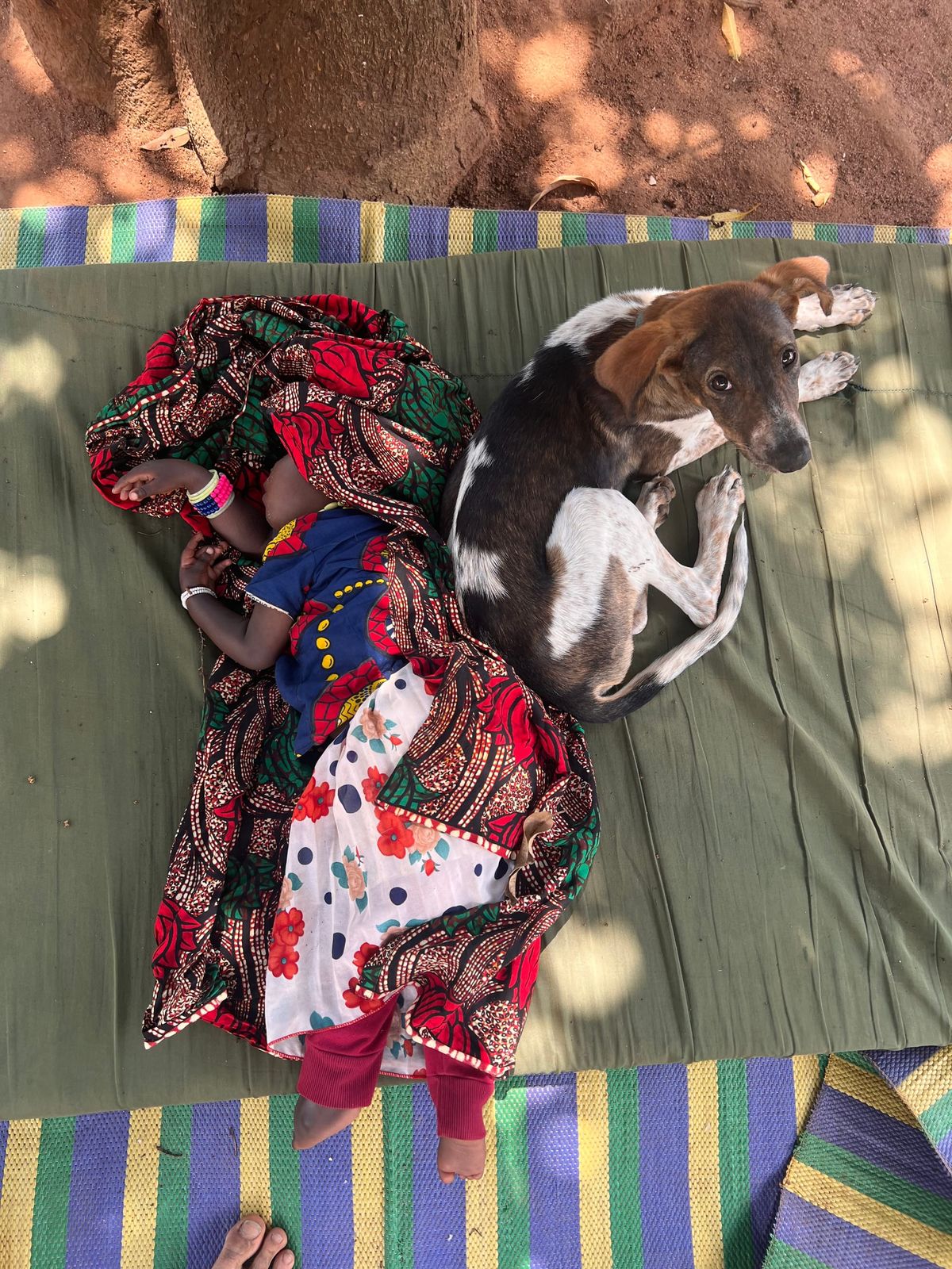 Bewegung der Anderen