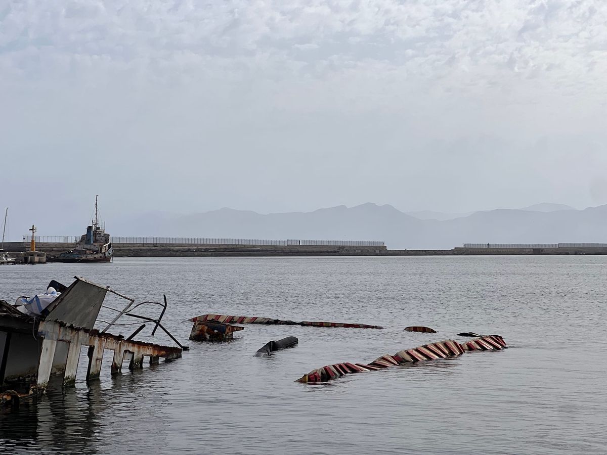 Flamingos in Cagliari und Olivenbäume am Nachthimmel - Sorso beim Erwachen