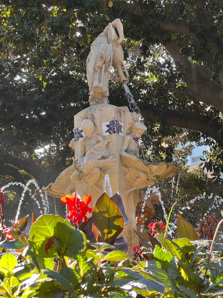 Zwischen Promis und Doktoren (17.05.)