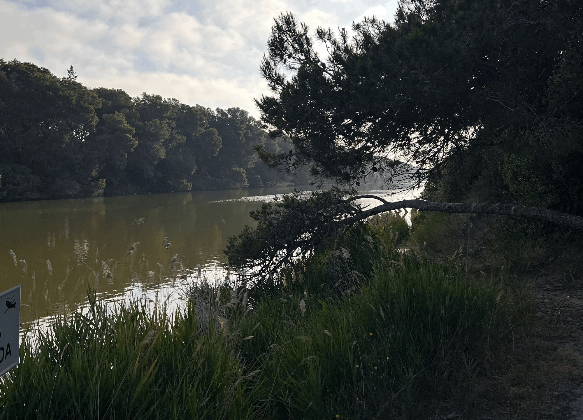 Ein Lächeln für den Schmerz