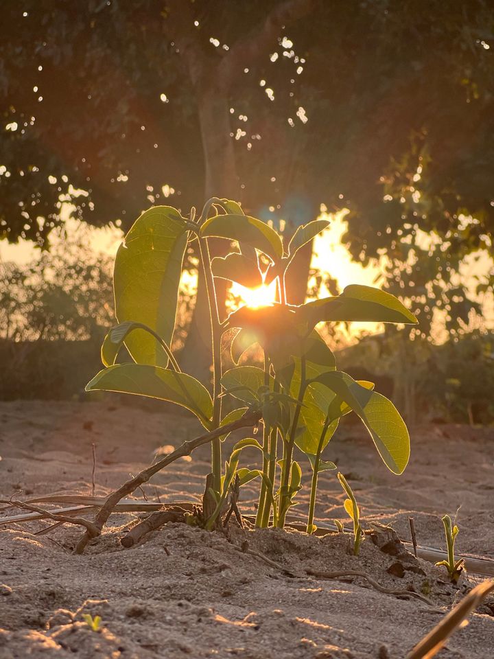 Aufwachen im Weltenwandel