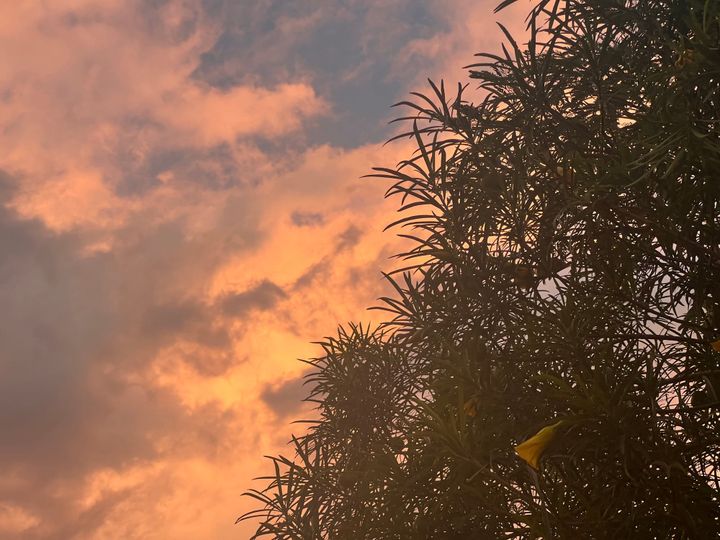 Einleitung in Tansania