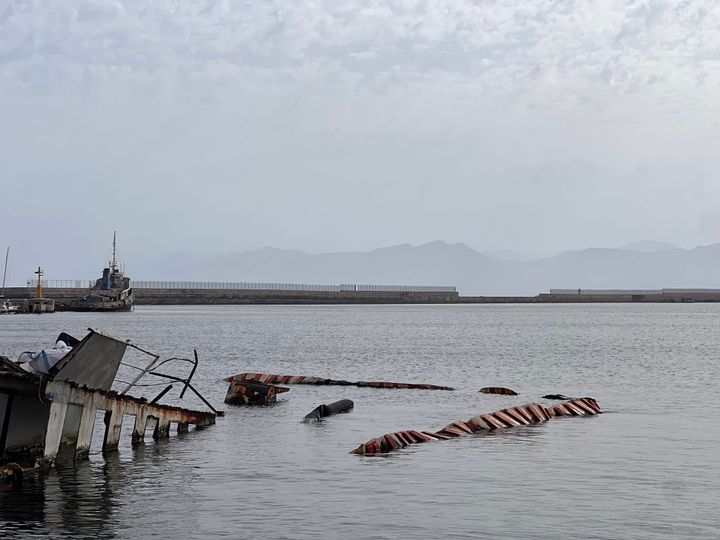 Flamingos in Cagliari und Olivenbäume am Nachthimmel - Sorso beim Erwachen