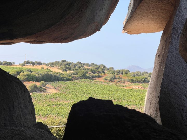 Orangenlandschaft und Sonnenstich (05.06.)