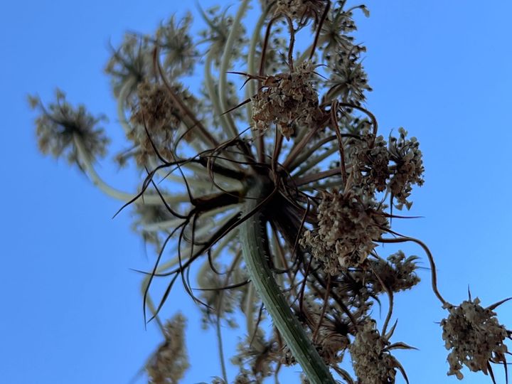 Das Gesetz auf Rädern und meine Urlaubsclique (07.05.)